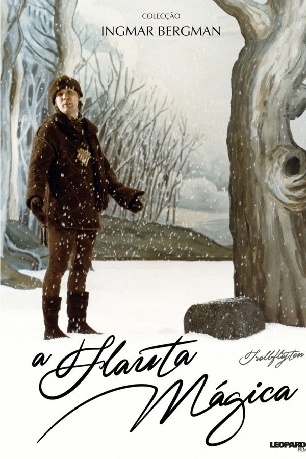 A Flauta Mágica (1975)