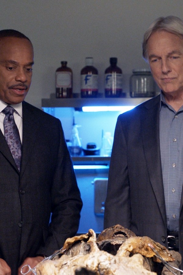 NCIS – Unità anticrimine – S15E08 – Episodio 8