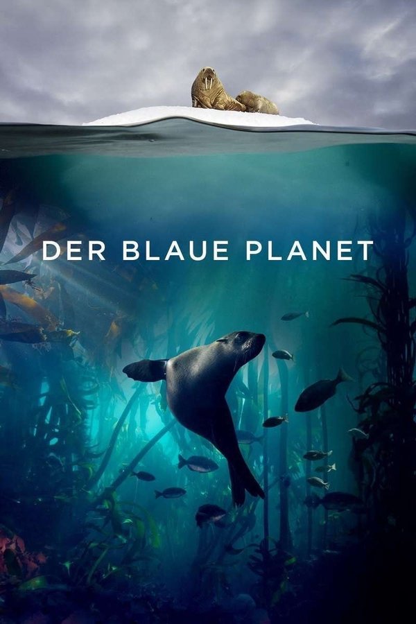 The Blue Planet poster