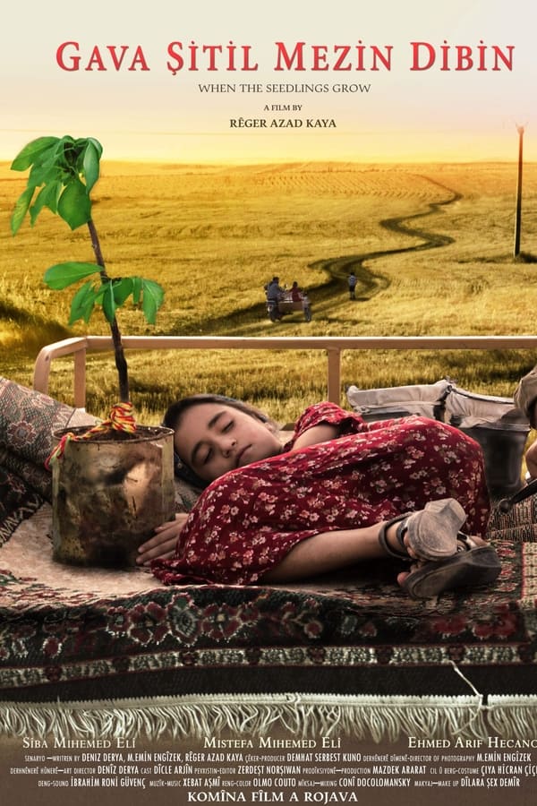 When The Seedlings Grow poster