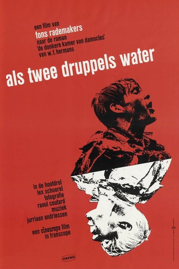 Als twee druppels water