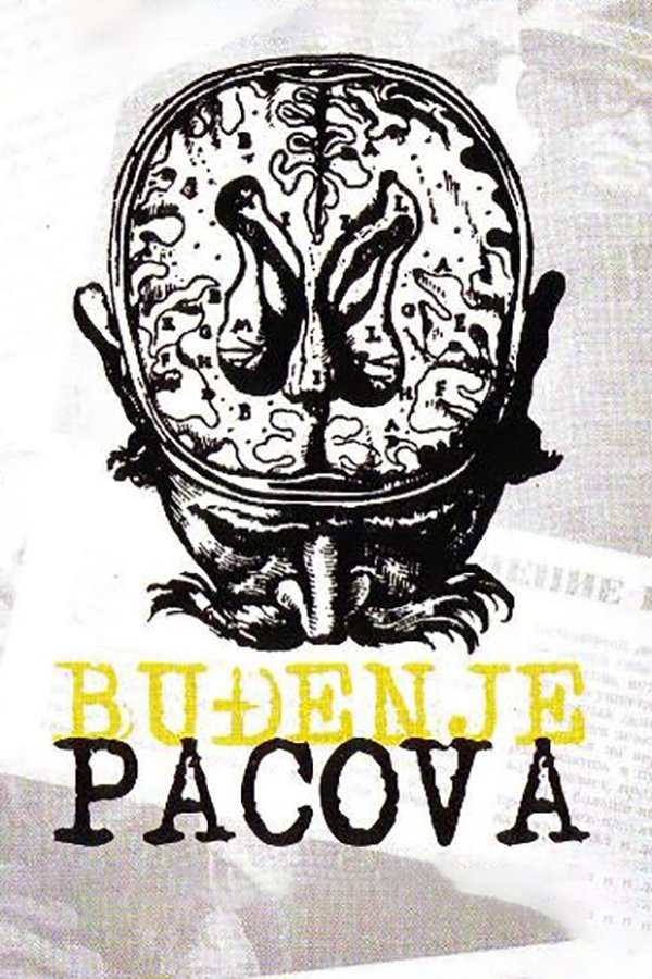 Buđenje pacova