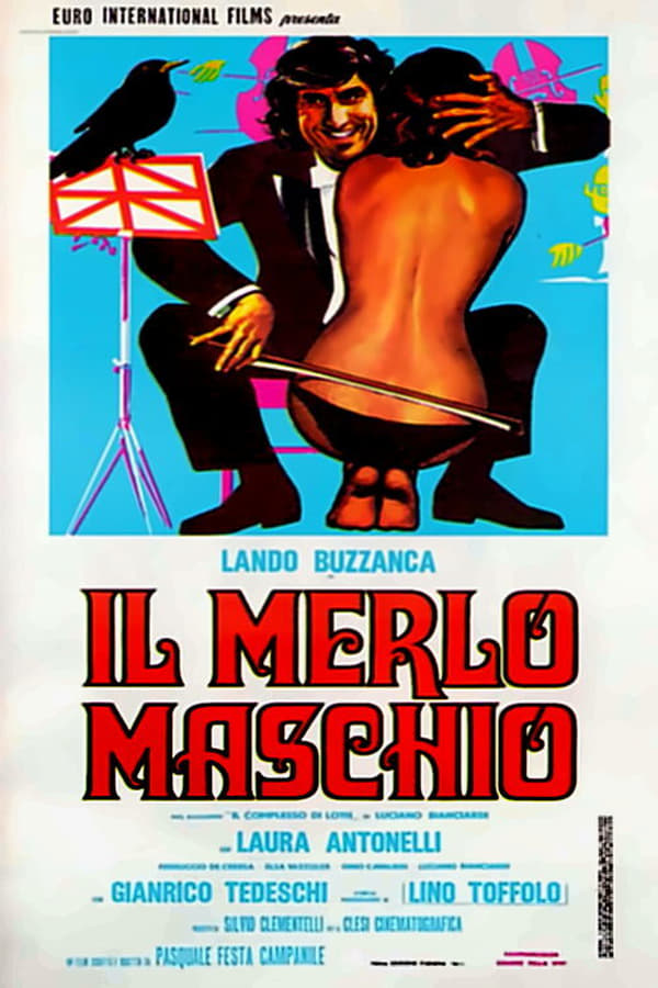 Il merlo maschio