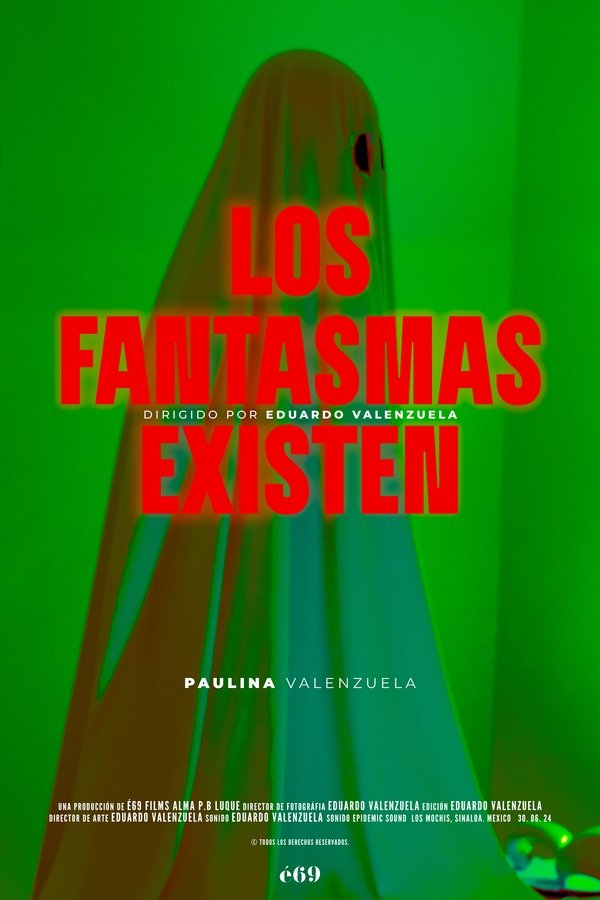 Los fantasmas existen poster