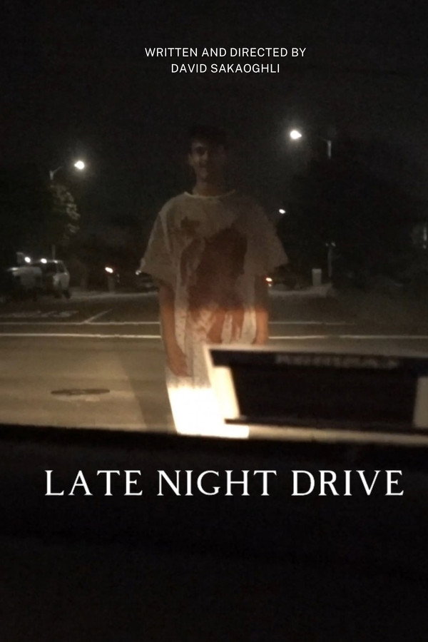 Late Night Drive
