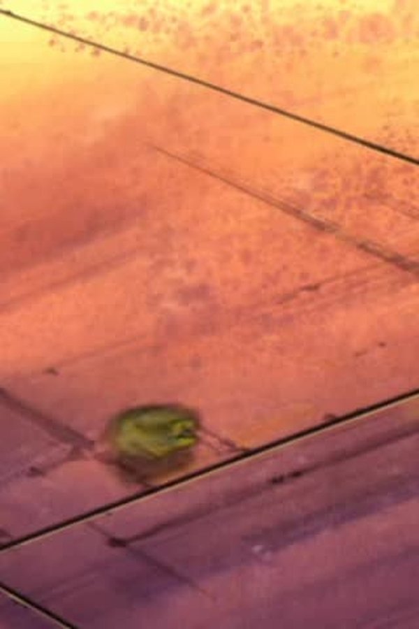Beyblade – S02E44 – Episodio 44