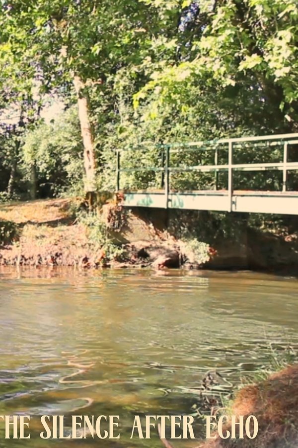 The silence after echo