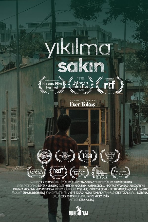 Yıkılma Sakın (Never Despair) poster