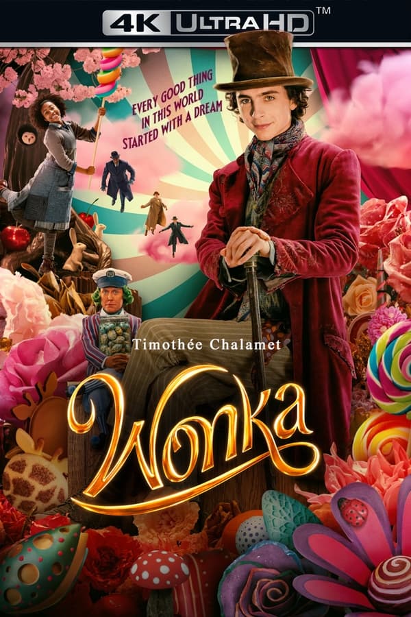 Bereits in jungen Jahren träumt Willy Wonka von seinem eigenen Schokoladengeschäft. Doch Schaum wie so manch anderer Traum ist das nicht. Mit dem Laden ist es ihm sehr ernst. Deshalb hat er auch viel Zeit damit verbracht, um die Welt zu reisen und an verschiedensten Orten seine Techniken zu verbessern. Doch bevor alles überhaupt richtig in Gang kommen kann, ist es schon fast wieder aus mit dem Traum vom eigenen Laden. Denn das mächtige Schokoladenkartell legt dem exzentrischen Wonka jede Menge Steine in den Weg. Aber ohne die Erlaubnis des Kartells geht nun mal leider gar nichts, die Ladentür muss verschlossen bleiben. Aber Wonka lässt sich auch davon nicht unterkriegen. Er sprudelt regelrecht vor Ideen, wie er seine schokoladigen Leckereien trotzdem unters Volk bringen kann. Alleine ist er dabei auch nicht. Die kleine Noodle ist ebenfalls mit dabei. Außerdem kann Wonka auf die Unterstützung der skurrilen Oompa Loompas setzen.