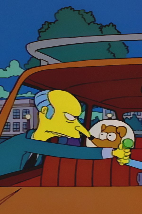 I Simpson – S07E01 – Chi ha sparato al signor Burns? (seconda parte)