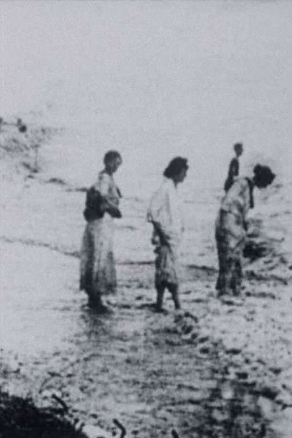 Seashore poster