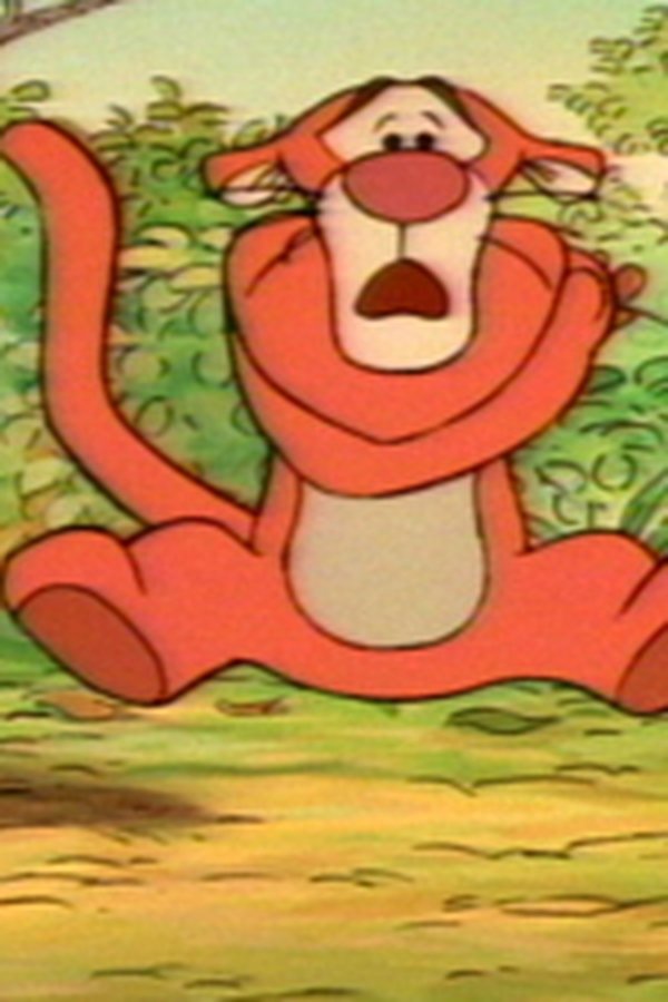 Le nuove avventure di Winnie the Pooh – S01E10 – Questione di strisce