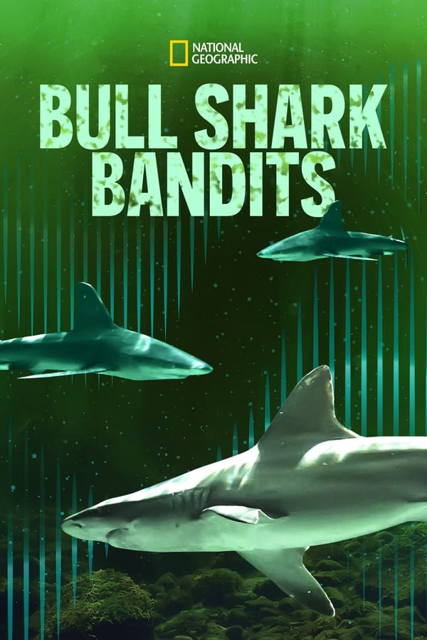 TVplus EN - Bull Shark Bandits (2023)