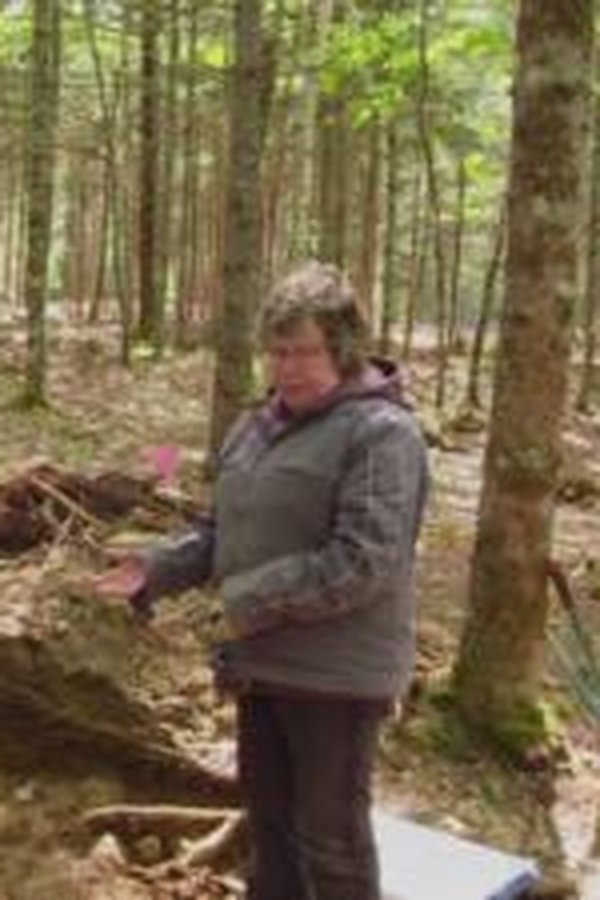 Oak Island e il tesoro maledetto – S11E04 – Episodio 4
