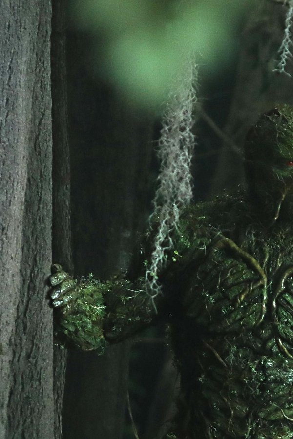 Swamp Thing – S01E05 – Ritorno al Passato