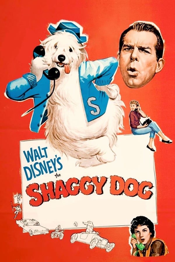 The Shaggy Dog