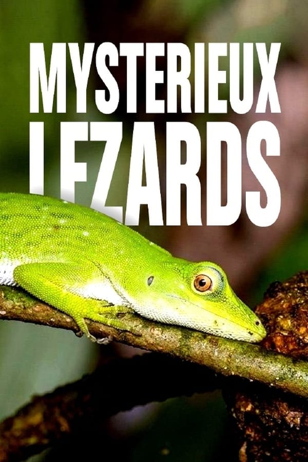 Mystérieux lézards : une évolution inattendue