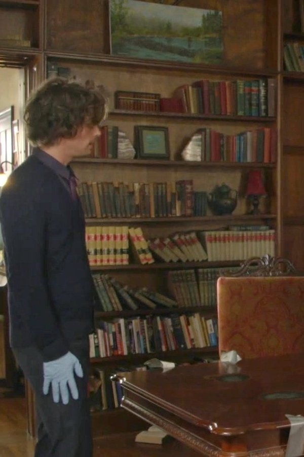 Criminal Minds – S14E11 – Luci notturne