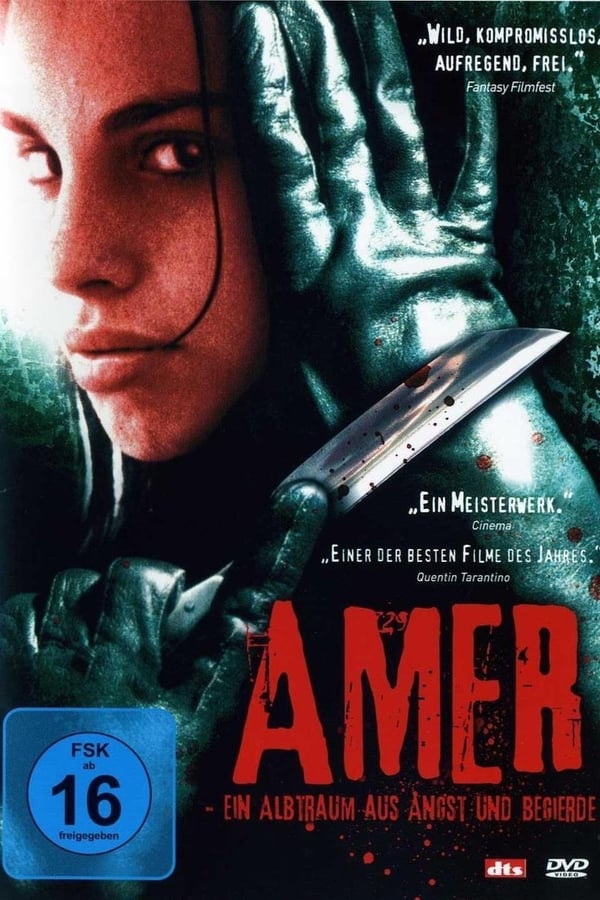 Amer ( 2009 )