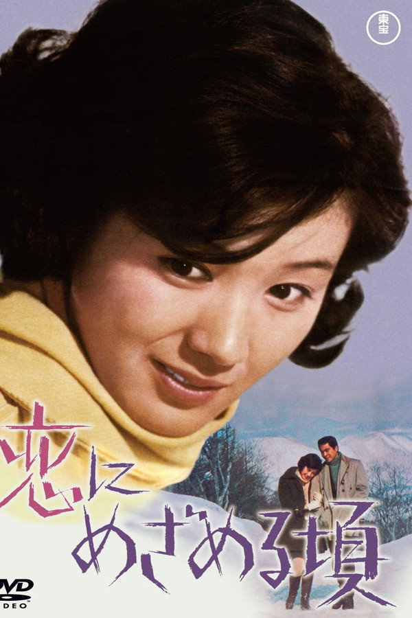 恋にめざめる顷