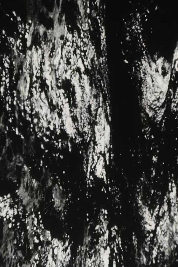 Bitemporal Vision: The Sea