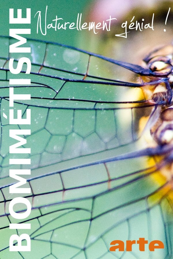 Biomimikry - Natürlich genial! poster