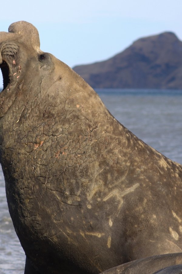 Big Beasts – S01E02 – Episodio 2