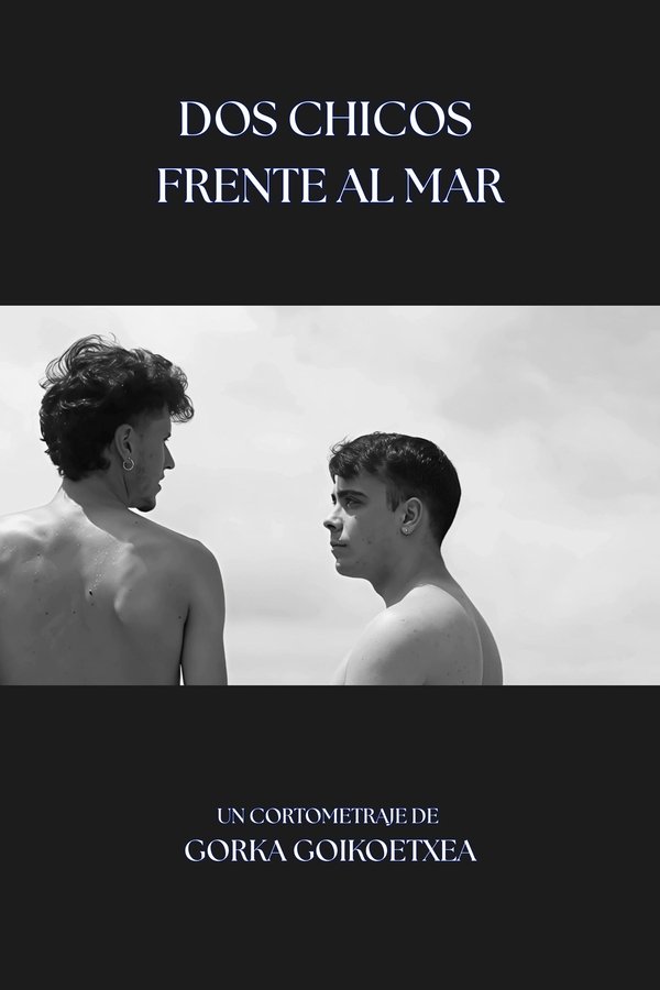 Dos Chicos Frente al Mar poster
