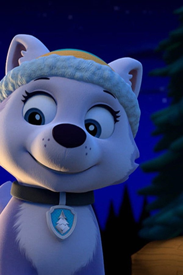 Paw Patrol – S02E14 – Il nuovo cucciolo