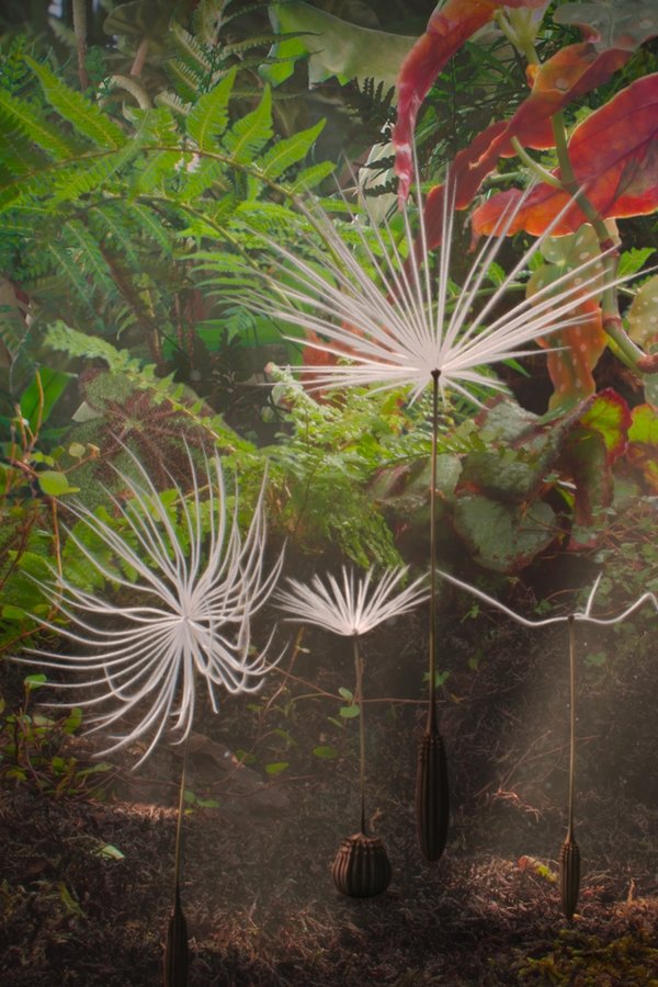 Dandelion's Odyssey poster