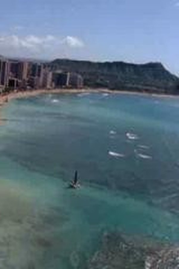 Magnum P.I. – S01E08 – Il più brutto cane delle Hawaii