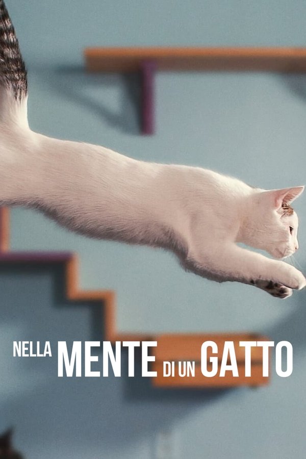 IT - Nella mente di un gatto (2022)