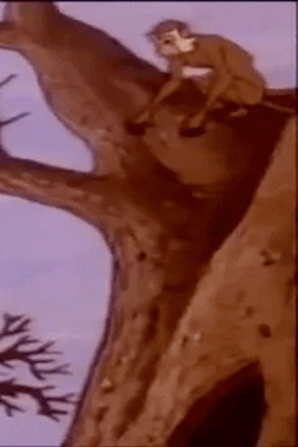 Tarzan il signore della jungla – S01E05 – Episodio 5