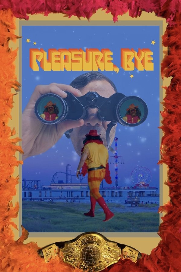 Pleasure, Bye poster