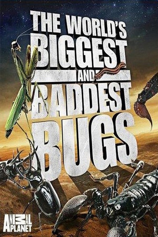 NL - The World's Biggest and Baddest Bugs (2009)