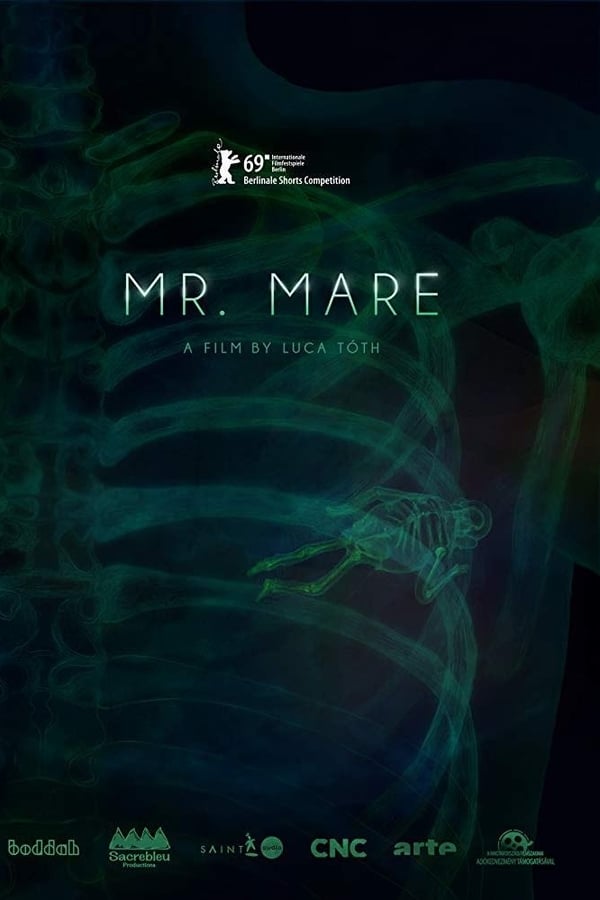 Mr. Mare