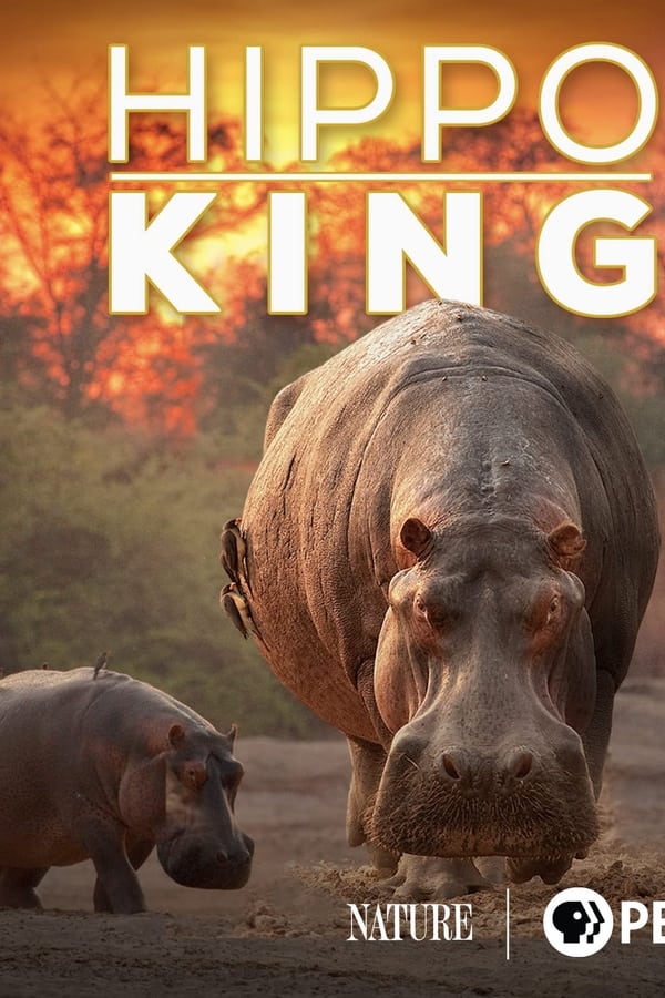 EN - NATURE Hippo King (2022)