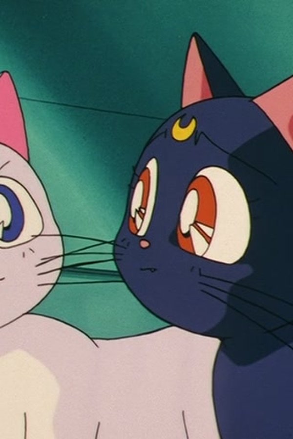 Sailor Moon – S02E33 – Le avventure di Artemis