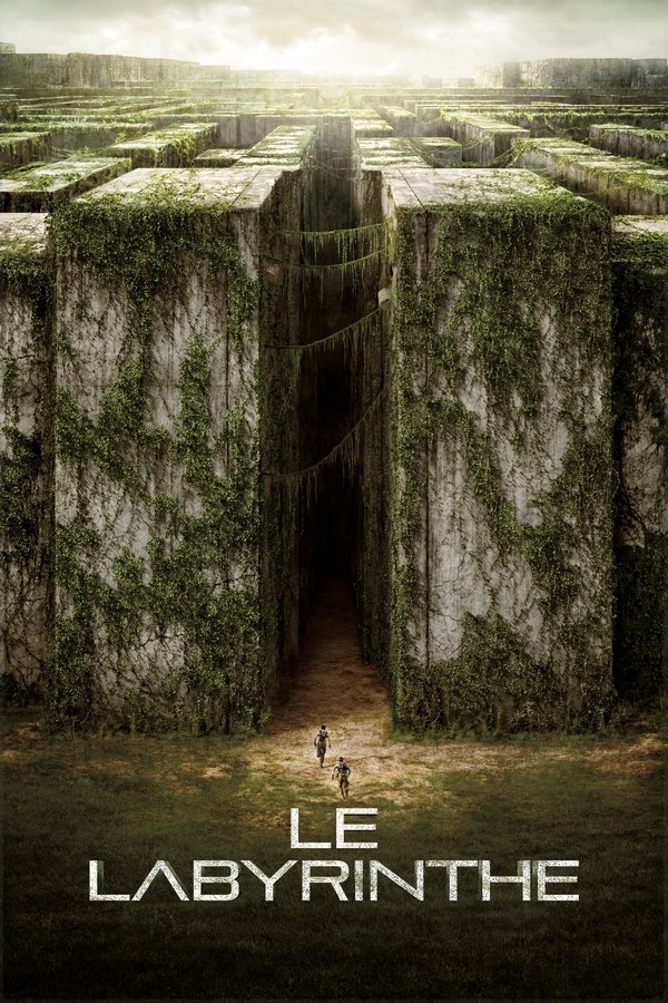 FR - Le Labyrinthe (2014) MULTI