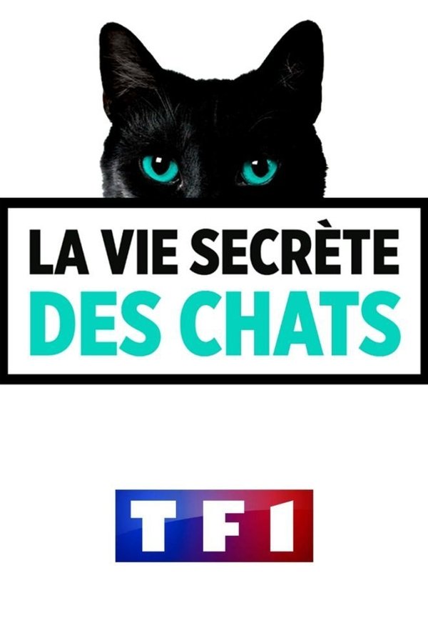 La vie secrète des chats La vie secrète des chats