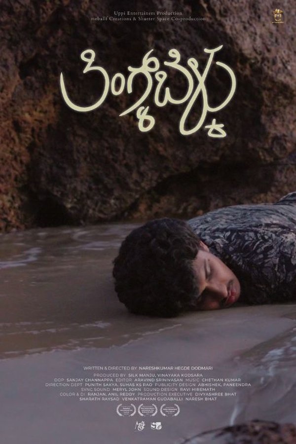 The Light for the Rest of the Walk