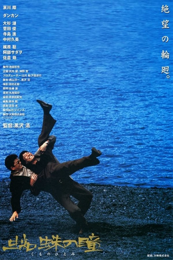 Eyes of the Spider poster