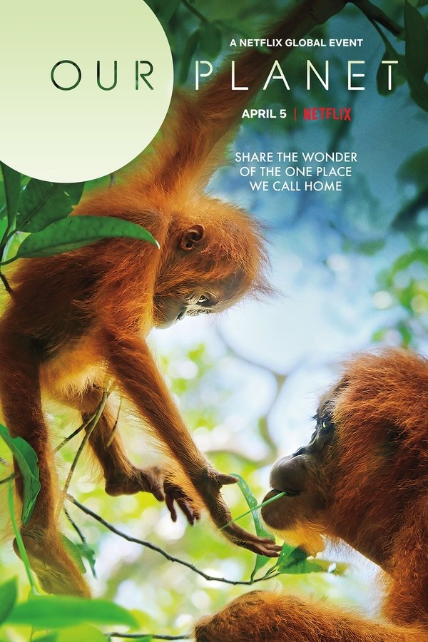 Assistir Our Planet Assistir Our Planet