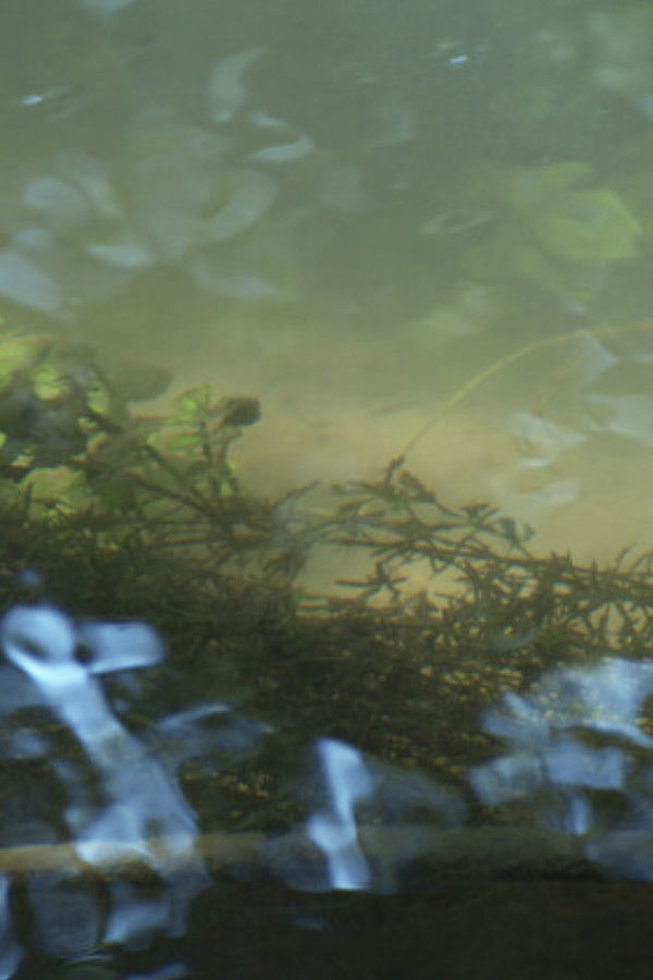 Heartbroken for Good