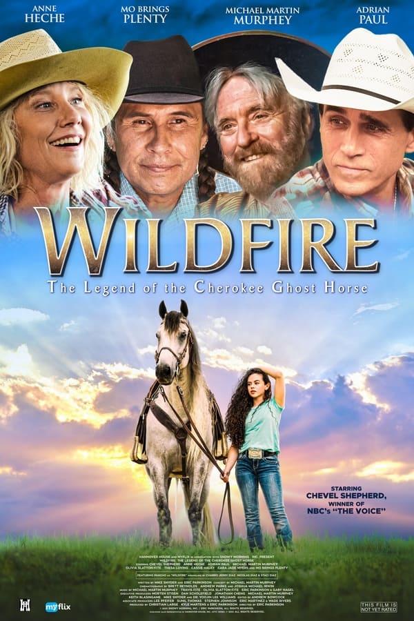 poster-do-filme-Wildfire 