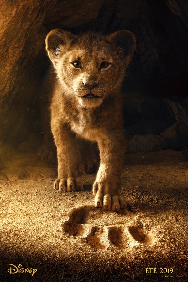 Le Roi Lion Le Film 2019
