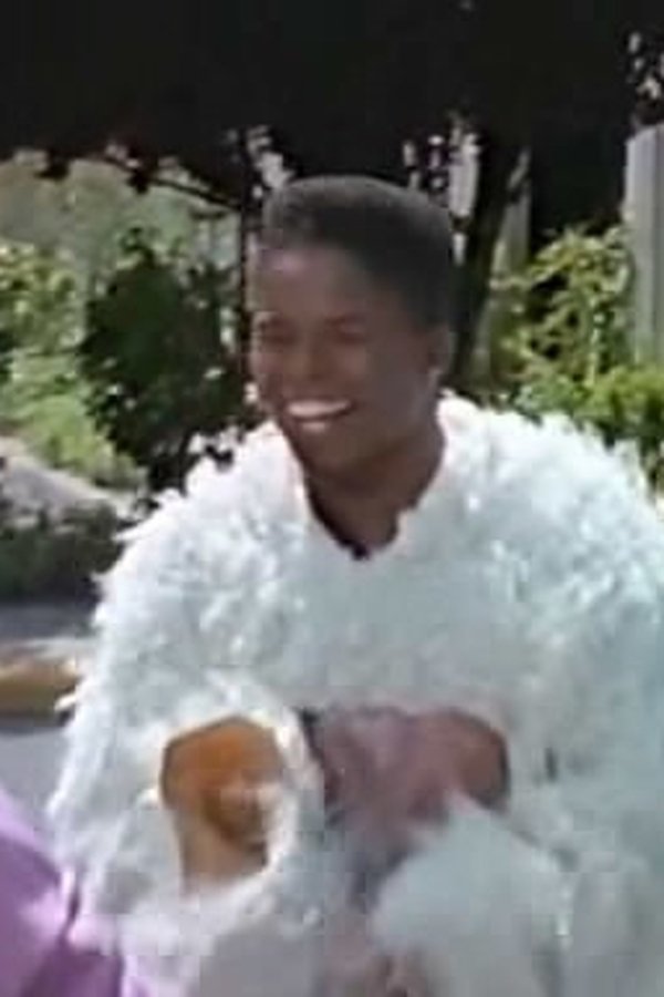 Power Rangers (1993) – S02E04 – Trasformazione Rangers!