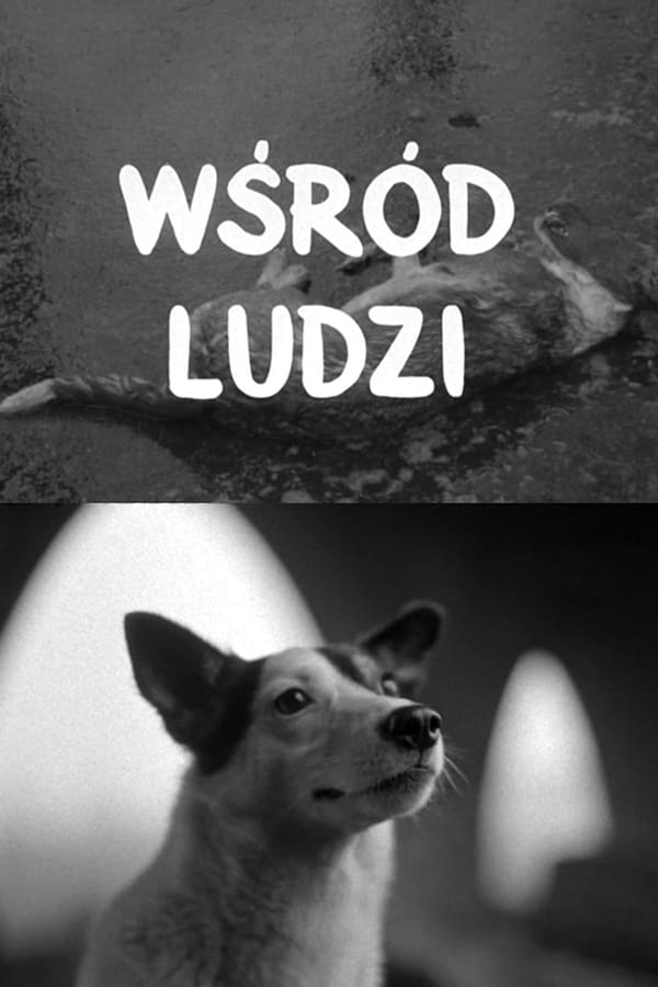 Wśród ludzi