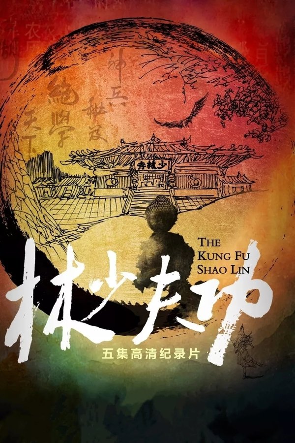 功夫少林 poster