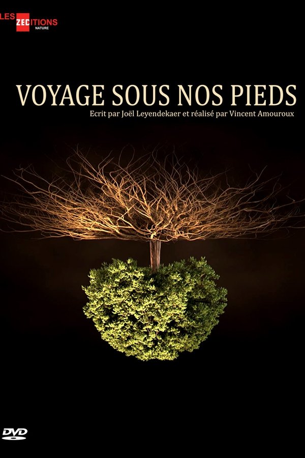 Voyage sous nos pieds poster